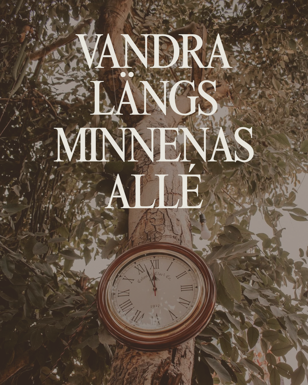 vandra längs minnenas allé